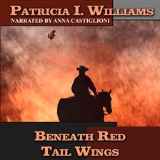 Cover image for Beneath Red Tail Wings