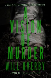 A vision of murder cover image