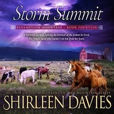 Cover image for Storm Summit
