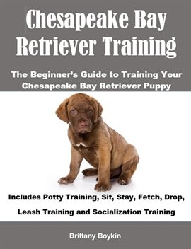 Cover image for Chesapeake Bay Retriever Training: The Beginner's Guide to Training Your Chesapeake Bay Retriever Pu