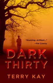 Dark thirty : a novel cover image