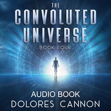 The Convoluted Universe: Book 4