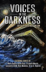 Voices in the Darkness cover image