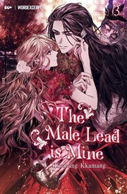 The male lead is mine, volume 3 cover image