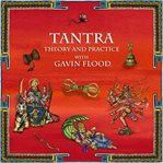 Tantra: theory and practice with gavin flood cover image