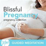 Blissful pregnancy cover image