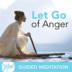 Let go of anger cover image