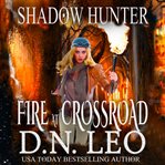 Fire at crossroad cover image
