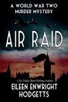 Air raid cover image