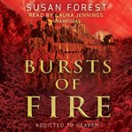 Bursts of fire cover image