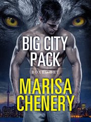 Big city pack boxed set cover image