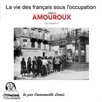 La vie des français sous l'occupation cover image