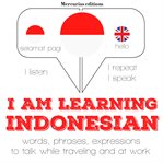 I am learning indonesian cover image