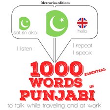 Cover image for 1000 Essential Words in Punjabi