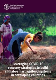 Leveraging COVID-19 Recovery Strategies to Build Climate-Smart Agrifood Systems in Developing Countr cover image