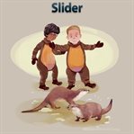 Slider. Level 3 - 12 cover image