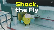 Shack, the Fly cover image