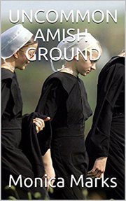 Uncommon amish ground cover image