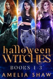 Halloween witches. Books #1-3 cover image