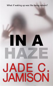 In a Haze cover image