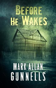 Before he wakes cover image