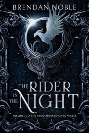 The rider in the night cover image