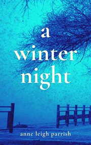 A winter night cover image