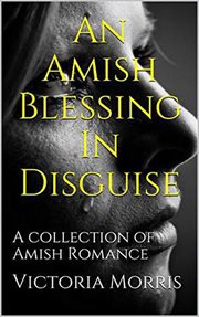 An amish blessing in disguise cover image