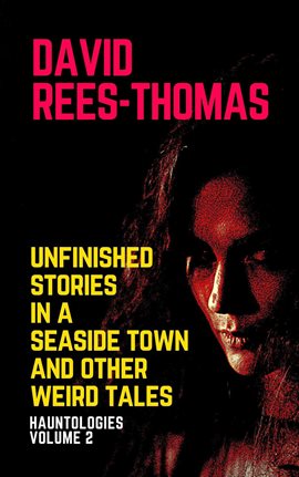 Cover image for Unfinished Stories in a Seaside Town and Other Weird Tales