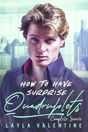 How to Have Surprise Quadruplets (Complete Series) : How To Have Surprise Quadruplets cover image