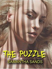 The puzzle cover image