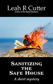 Sanitizing the safe house cover image
