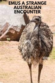 Emus a Strange Australian Encounter cover image