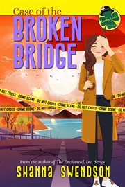 Case of the broken bridge cover image