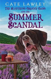 The sleuthing granny gang and the summer scandal cover image