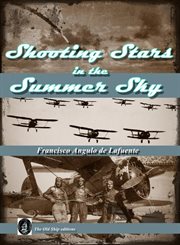 Shooting Stars in the Summer Sky cover image