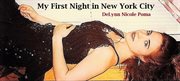 My First Night in New York City cover image