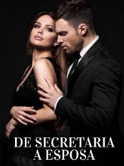 De Secretaria a Esposa cover image