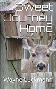 Sweet Journey Home cover image