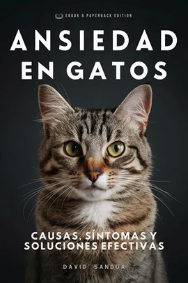 Ansiedad en Gatos