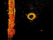 Orangel: The Orange Angel cover image