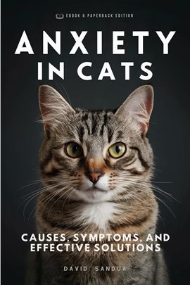 Anxiety in Cats