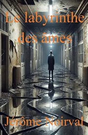 Le labyrinthe des âmes cover image