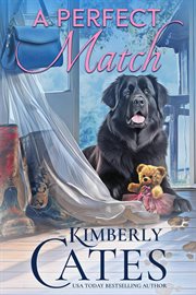 A Perfect Match cover image