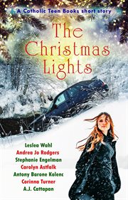 The christmas lights cover image