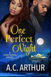 One Perfect Night cover image