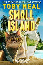 Small Island cover image