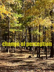 Change of perception cover image