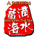 A dripping water in the sea cover image