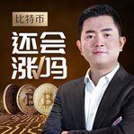 Wealth in bitcoin to blockchain cover image